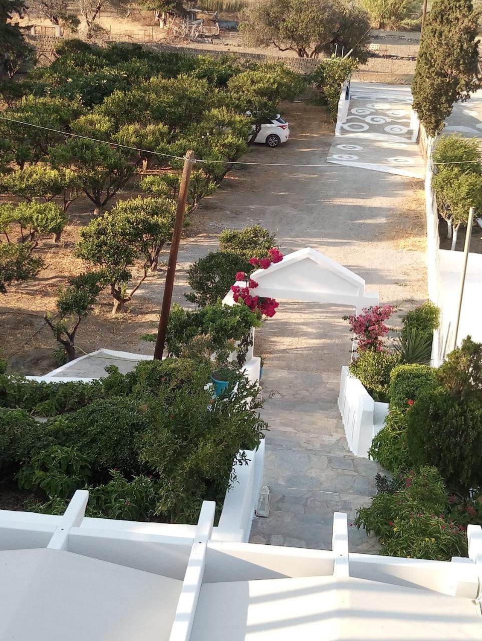 Drouga'S Studios & Suites Astypalaia Greece Livadi  Eksteriør billede